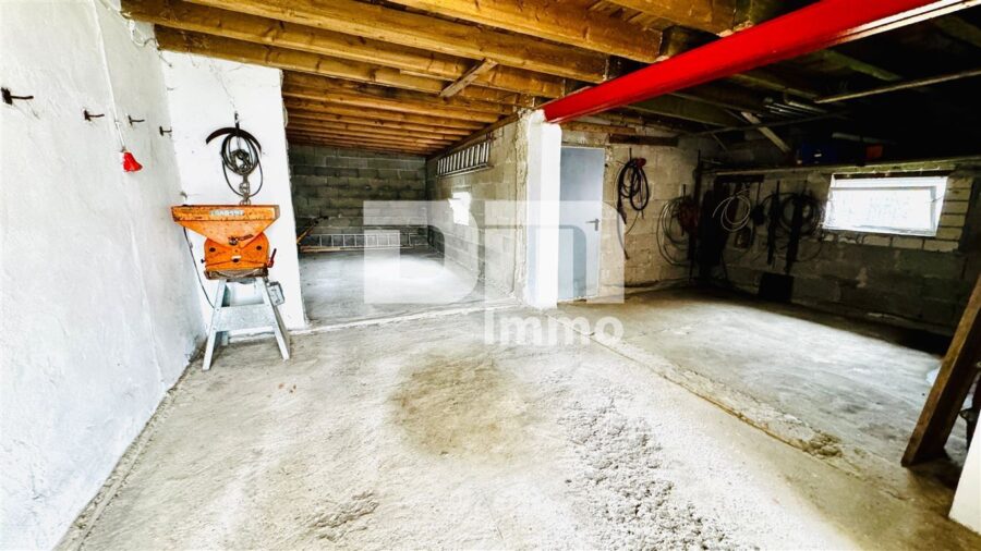 Wohnhausensemble auf großem Grundstück mit Nebengebäuden als langfristige Kapitalanlage - Nebengebäude 1 / Halle